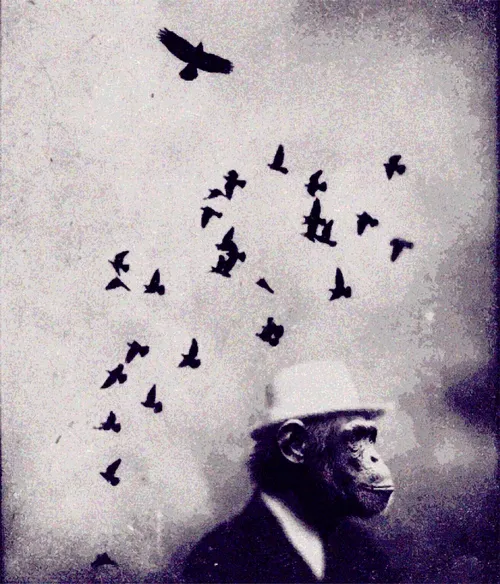 Monke Freedom of Thought