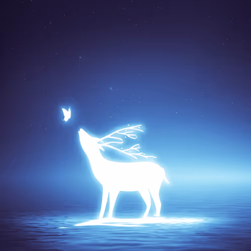 3dninjah Spotlight S2