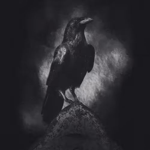 Black Crow on a Tombstone ©️