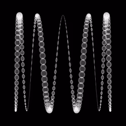 1000 Circles #260