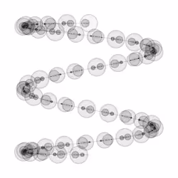 1000 Circles #202