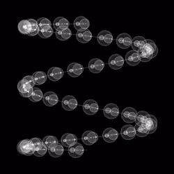 1000 Circles #201