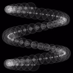 1000 Circles #205