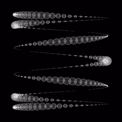 1000 Circles #263