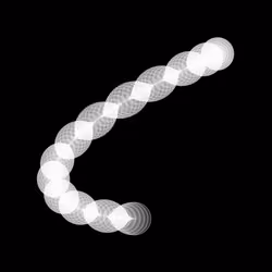 1000 Circles #455