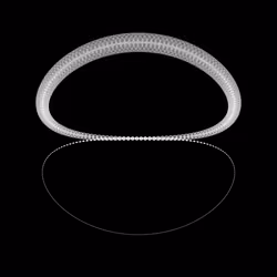1000 Circles #593