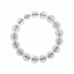 1000 Circles #41