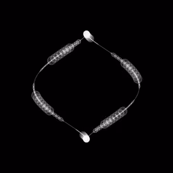 1000 Circles #61