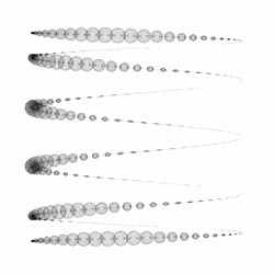 1000 Circles #262