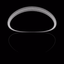 1000 Circles #594
