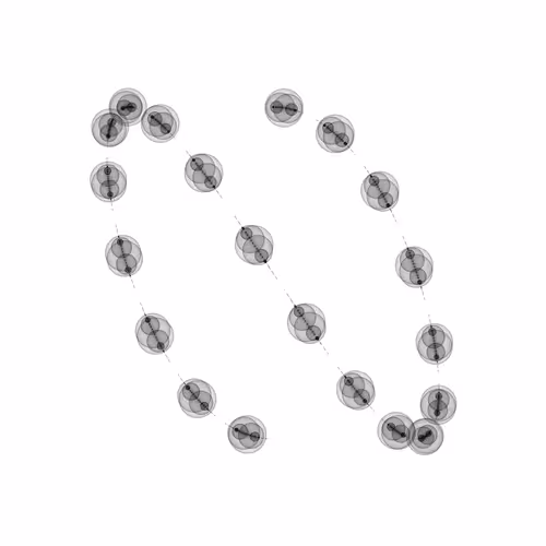 1000 Circles