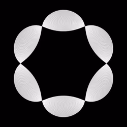 1000 Circles #384