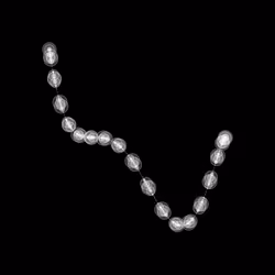 1000 Circles #482