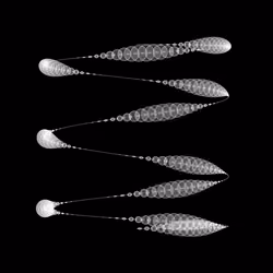 1000 Circles #222