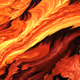 164
