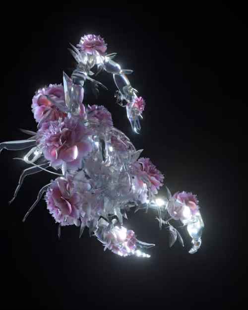 Item #23300050004 Media