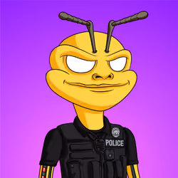 Cyber Hornets Colony Club #241