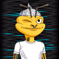 Cyber Hornets Colony Club #7995