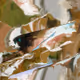 25