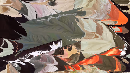 Solvency By Ezra Miller
