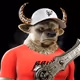2251