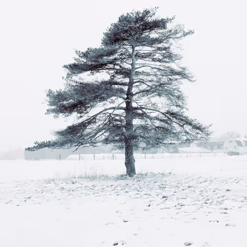 Kristen Valent - Life On The Farm