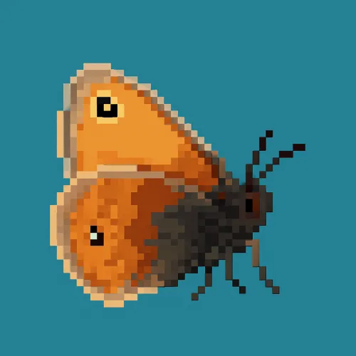 Papillones