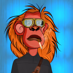 Cultured Orangutan #3404