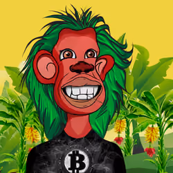 Cultured Orangutan #4765