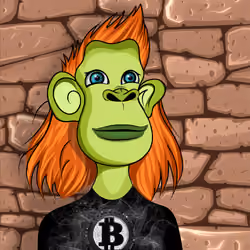 Cultured Orangutan #2400