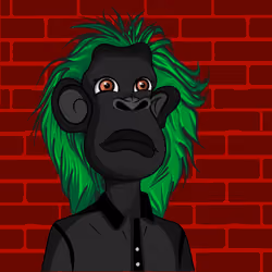 Cultured Orangutan #373