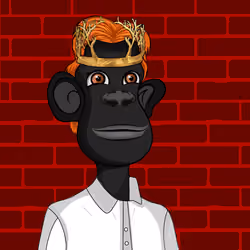 Cultured Orangutan #3461