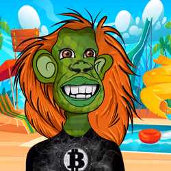 Cultured Orangutan #2554
