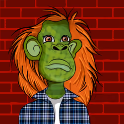 Cultured Orangutan #1684