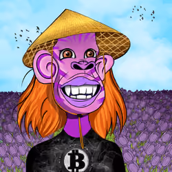Cultured Orangutan #2556