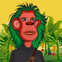 Cultured Orangutan #1266