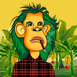 Cultured Orangutan #1683
