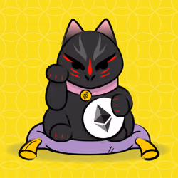 The Neko #242