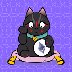 The Neko #103