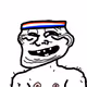 The Troll #5311