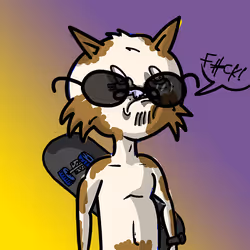 Not Cat #224