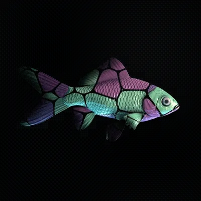 Cryptofish Io
