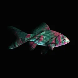 CryptoFish #1556