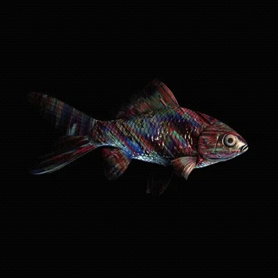 CryptoFish #6637