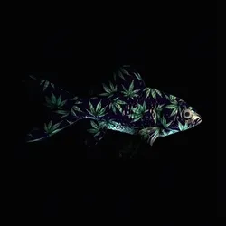 CryptoFish #6262