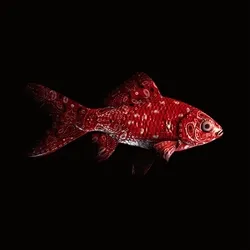 CryptoFish #1174