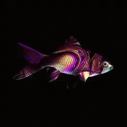 CryptoFish #4961
