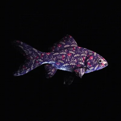 Cryptofish Io