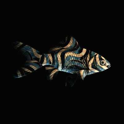 Cryptofish Io