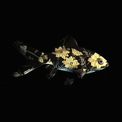 Cryptofish Io